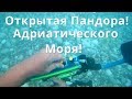 Не сразу понял,что нашел,думал опять одни монеты будут!Коп под водой!