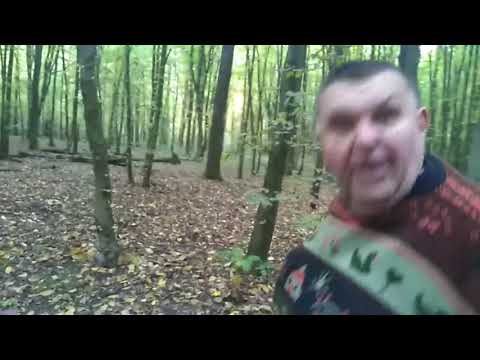 Wideo: Rosnąca Persimmon Z Kamienia