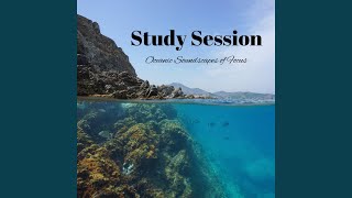 Harmonious Study Resonance
