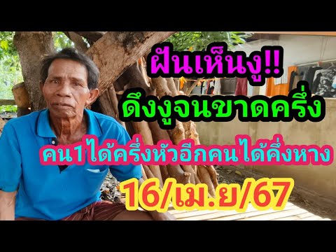 ฝันเห็นงูดึงงูจนขาดครึ่งคน1ได้ครึ่งหัวอีกคนได้ครึ่งหาง