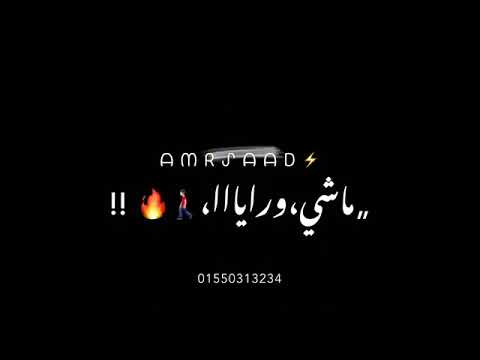 حالات واتس مبعرفش حريم زايطه