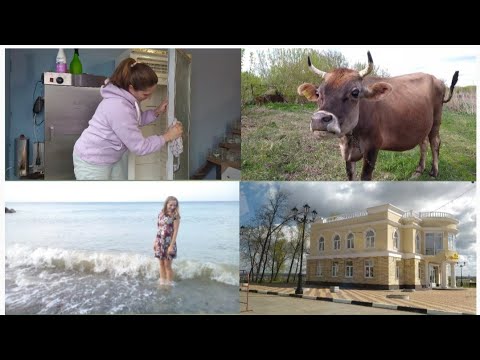 видео: БЕЗБАШЕННЫЕ! УЕХАЛИ НА МОРЕ! 🤱🐄🐖🐓🤗🏄🙈