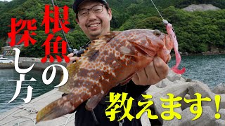 根魚の探し方【堤防編】お手軽ロックフィッシュゲームを始めよう！