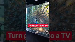 This Tape Turns Any Glass Into A TV… 🤯