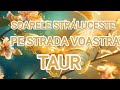 🌞TAUR🌞SOARELE STRALUCESTE PE STRADA VOASTRA 🌞 UN NOU INCEPUT🌞#tarot #taur