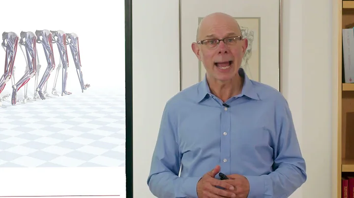 Biomechanics of Movement | Lecture 10.1: Muscle-Driven Simulations: What Are They & How To Use Them