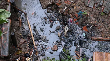 Quais doenças são causadas por esgoto a céu aberto?