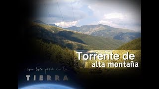 Con los pies en la Tierra | Torrente de alta montaña