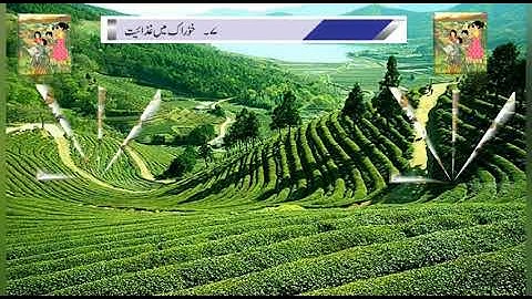 Bmc Edu Urdu Std 4th Evs Food and Nutrition