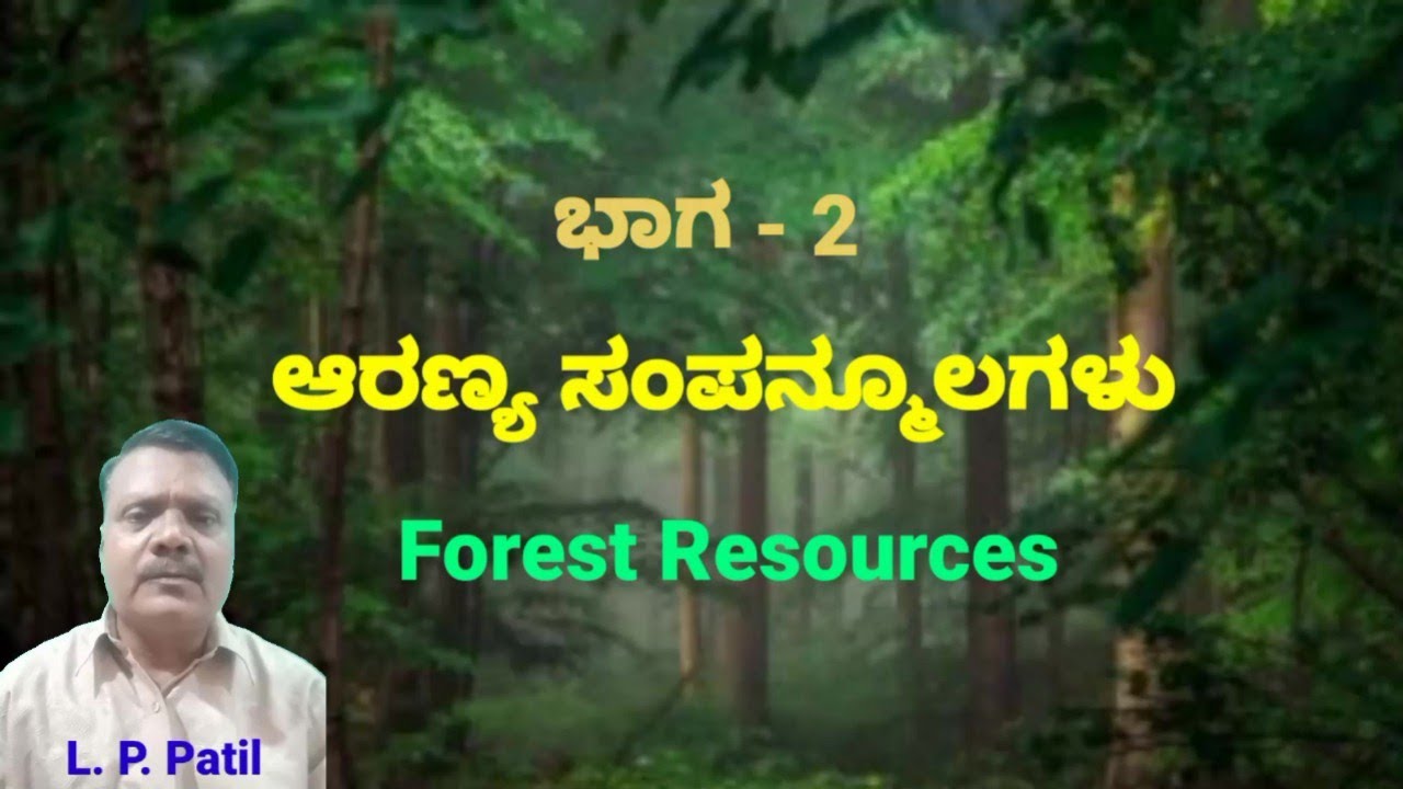 essay on deforestation in kannada