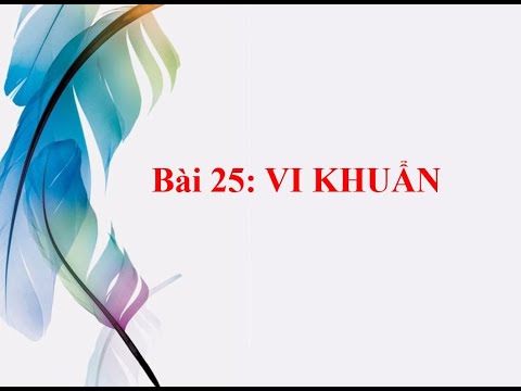 KHTN 6 - Bài 25: Vi khuẩn