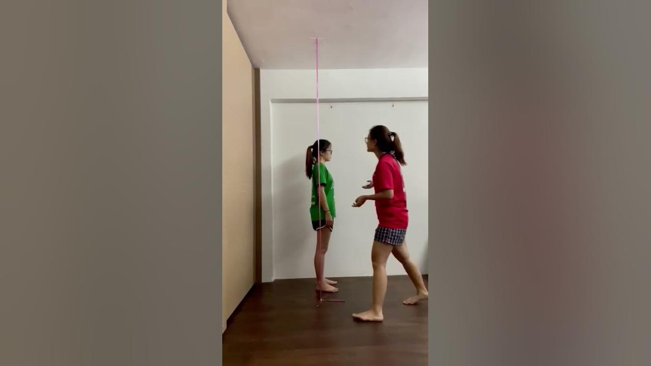 [S246] Postural analysis (Plumb Line Postural Assessment) YouTube