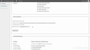 How To Automatically Backup Your WordPress Blog-Plus Restore