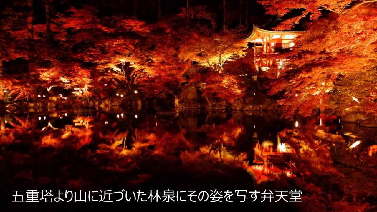 京都 紅葉ライトアップ 獅子吼の庭 清水寺 瑠璃光院 醍醐寺 Youtube