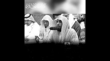سورة الأحزاب ٤٠ - ٤١