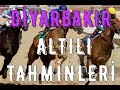 1 ARALIK 2020 DİYARBAKIR AT YARIŞ TAHMİNLERİ-TJK - YouTube