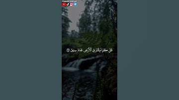 ﴿ إني جزيتهم اليوم بما صبروا أنهم هم الفائزون ﴾ سورة المؤمنون الآية ١١١ / القارئ اسلام صبحي