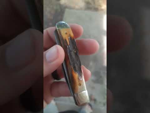 case xx stag Is damascus mini trapper 5207D    