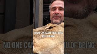 Lion Says Hello With Friendly Bite | The Lion Whisperer