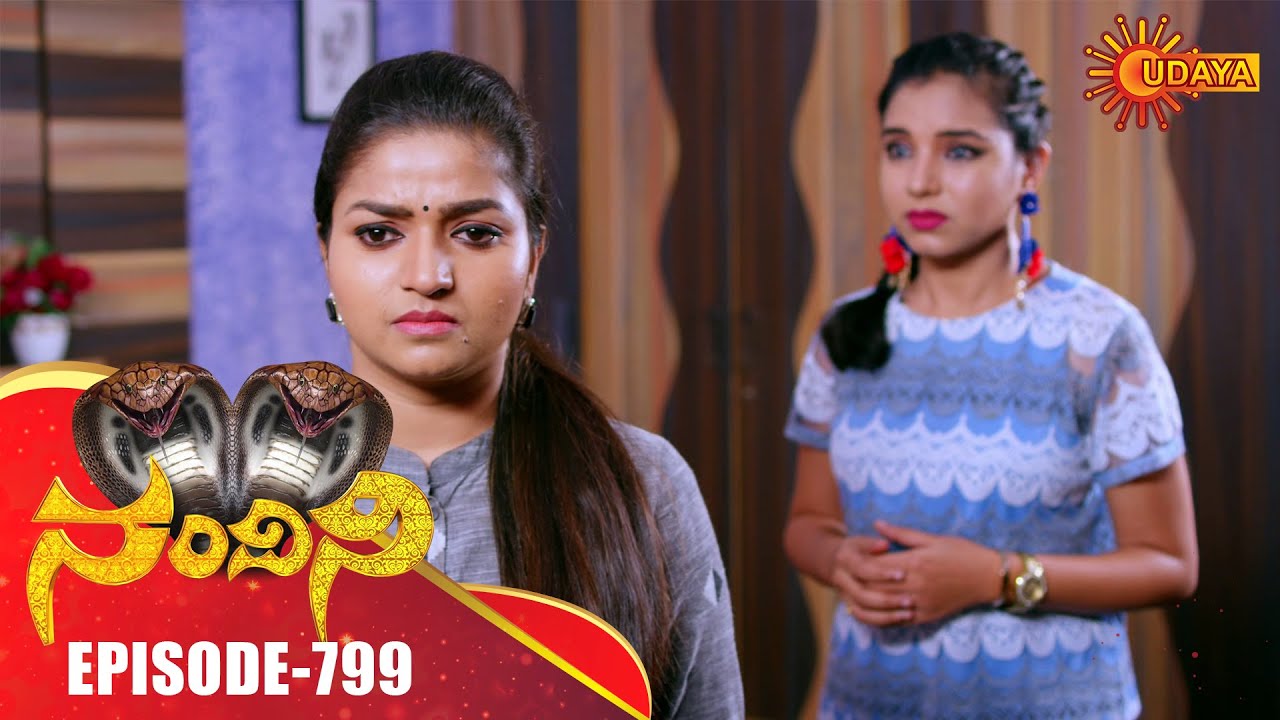 Nandini - Episode 799 | 20th Nov 19 | Udaya TV Serial | Kannada Serial