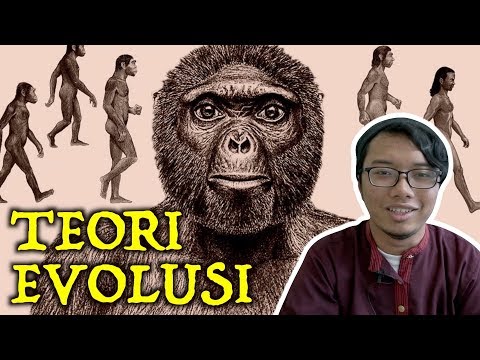 Video: Para Saintis Telah Mengiktiraf Wanita Sebagai Mesin Evolusi Utama - Pandangan Alternatif