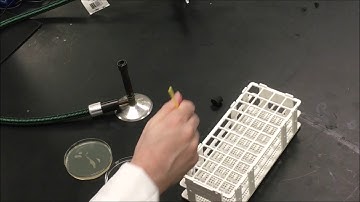 What was done incorrectly? - Video 2