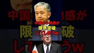 中国の小物感が限界突破してしまうw 政治 #自民党 #外交 #高市 #ゆっくり解説