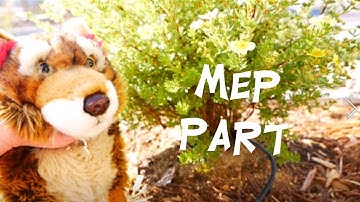 "Run Wild" mep part 2 and 6 for Neo LPSTM