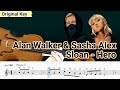 Alan Walker & Sasha Alex Sloan - Hero Violin Sheet