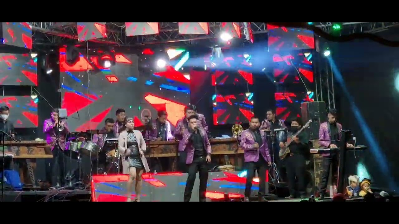 Nicho y Sus cachorros YouTube