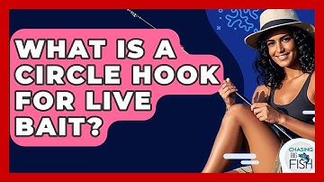 What Is A Circle Hook For Live Bait? - Chasing Big Fish