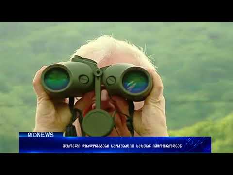 უცხოელი დიპლომატები საოკუპაციო ხაზთან, სოფელ ოძისში ჩავიდნენ