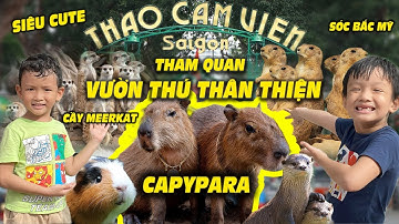Gặp Capybara đáng yêu ở VƯỜN THÚ THÂN THIỆN, một ngày đi hết Thảo Cầm Viên Sài Gòn | Kun Ca Family