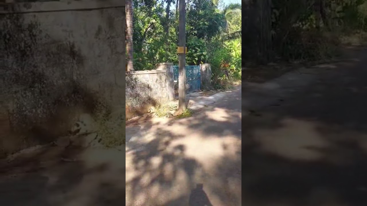 15 cent primium plot for sale near kottekkad church Thrissur