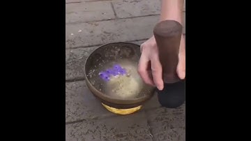 The resonance of the water is really curious.👍🌊👍