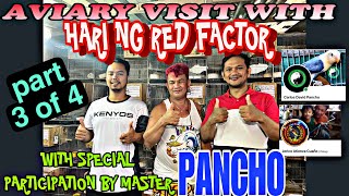 Part3 Of 4 With Master Pancho At Rf King Animalfood 