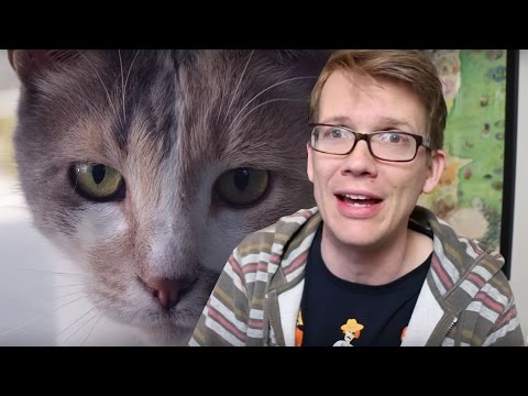 Thumbnail for Seeing Myself Through a Cat's Eyes