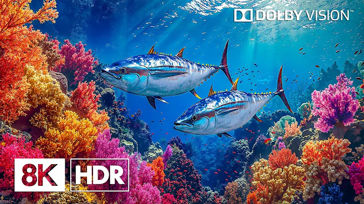 Brilliant Deepsea Creatures in 8K HDR | Dolby Vision™
