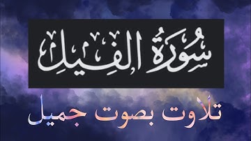 🎧 سورة الفيل| بصوت جميل قاري علاء عقل 🎧