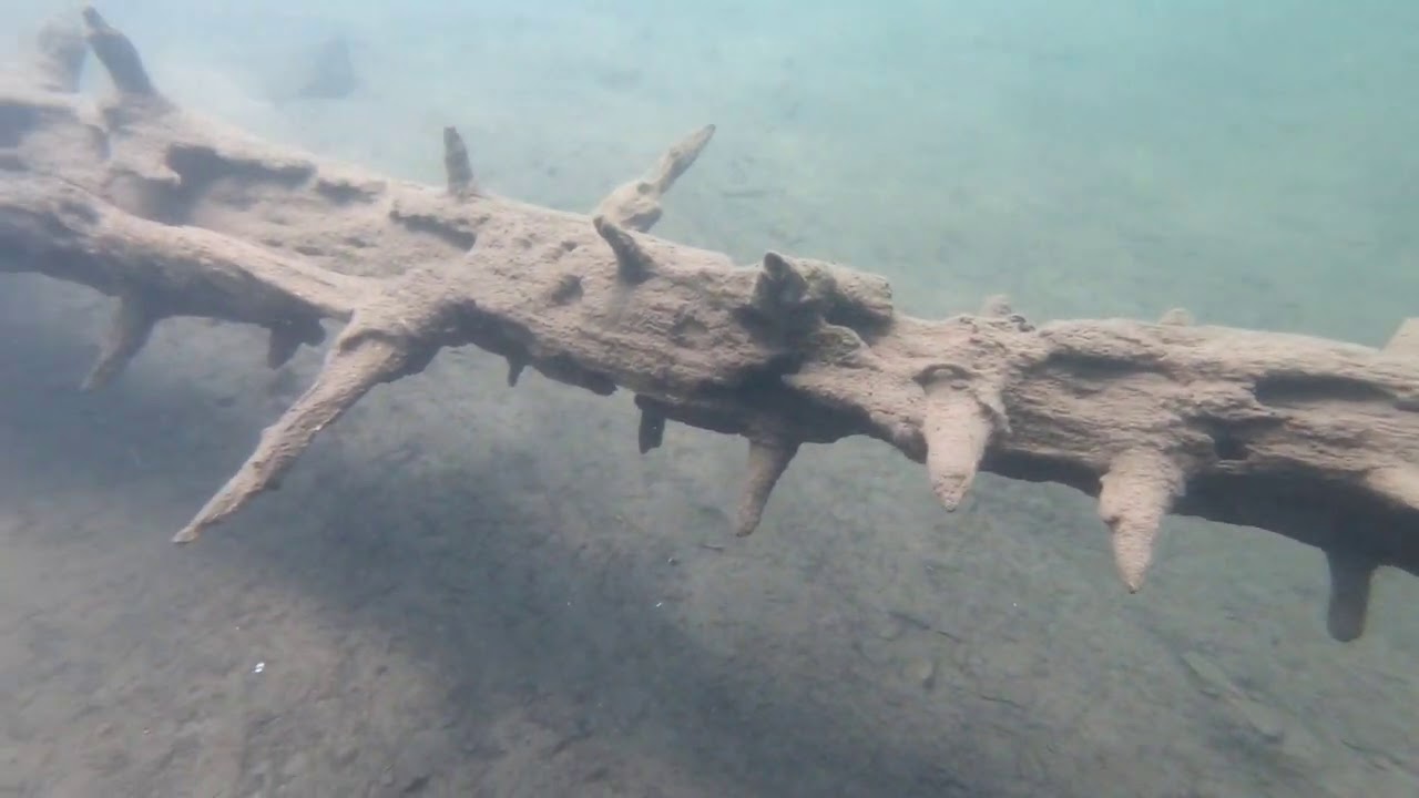 Donner Lake Treasures Scuba Diving  Adventure