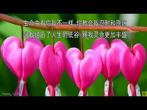 喜乐的新生命