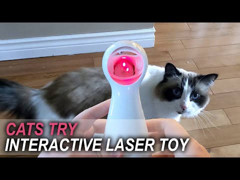 Automatic Laser Toy - Petsafe Bolt