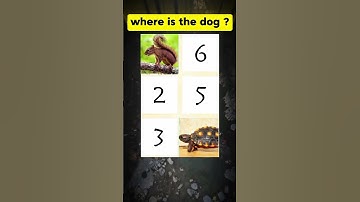 Only 1% can pass this memory challenge ! #shorts #shortvideo #gkquiz  #memorytest #memoryquiz #quiz