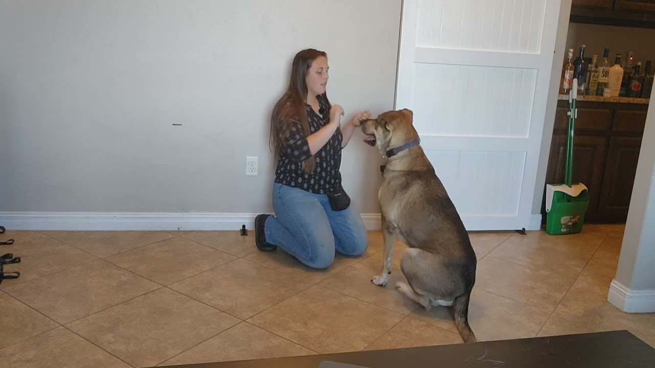 Gabriel Day 4 update