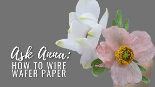 How to wire wafer paper | Wafer Paper 101 | Ask Anna