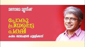 Poku Priyappetta Pakshi | പോകൂ പ്രിയപ്പെട്ട പക്ഷി | Balachandran Chullikkad