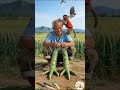 Incredible Master! Woven Bamboo Rooster Level: Asian Grandpa 🐓🎋 #Shorts