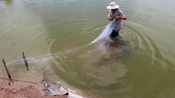 Về Vuông Tôm Bỏ Hoang Bắt Cá Rô Phi - Trải Nghiệm, Khám Phá