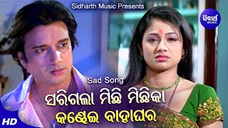 Sarigala Michhi Michhika Bahaghara   Sad Film Song | Archita,Budhaditya | Suresh Wadekar,Nibedita