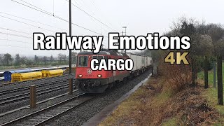 🚆 4K Cargo cab ride into the main hub (Switzerland | Wangen bei Olten - Hunzenschwil/Schafisheim)